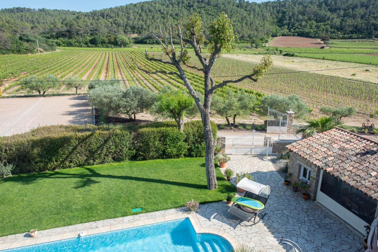 Chateau De Sainte Croix Carcès 外观 照片